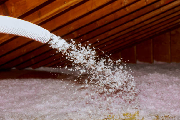 Best Residential Insulation in Bayport, MN