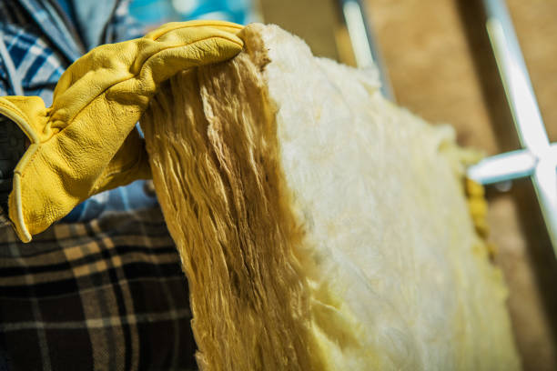 Best Specialized Insulation Services in Bayport, MN